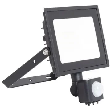 Ansell AEDELED, Security Floodlight, 20 W, 1800 lm, IP44 PIR, 220/240 V - AEDELED20/CW/PIR product image