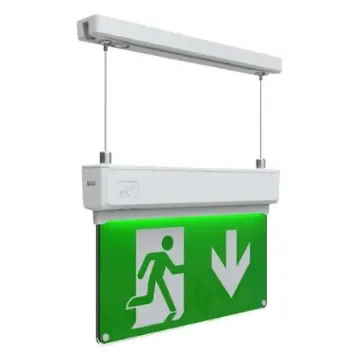 Polycarbonate Emergency Exit Down, None,  With Pictogram Only, Exit Sign - AKESLED/3M product image