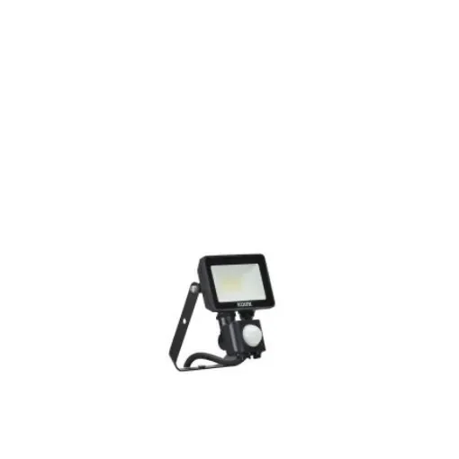 Ecolink BVP009, Security LED Floodlight, 1 LED, 10 W, 850 lm, IP65 PIR - 911401854585 product image