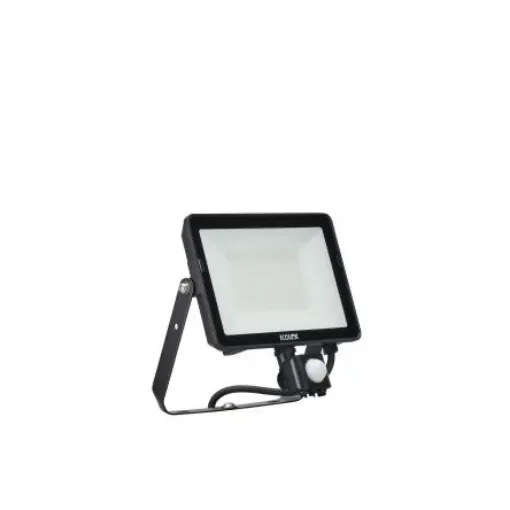 Ecolink BVP009, Security LED Floodlight, 1 LED, 50 W, 4250 lm, IP65 PIR - 911401855185 product image