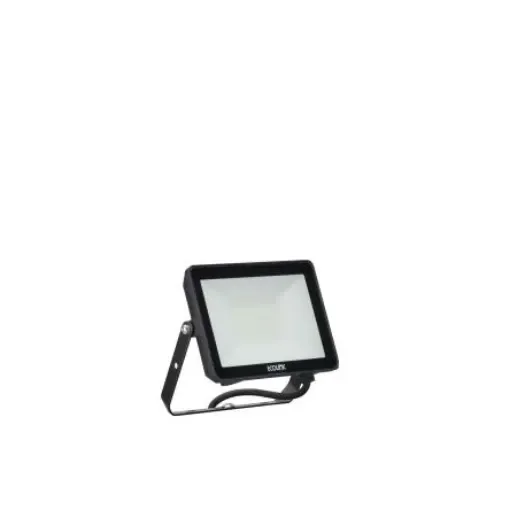 Ecolink BVP009 LED Floodlight, 1 LED, 30 W, 2550 lm, IP65 PIR - 911401854885 product image