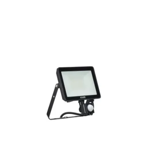 Ecolink BVP009, Security LED Floodlight, 1 LED, 30 W, 2550 lm, IP65 PIR - 911401854985 product image