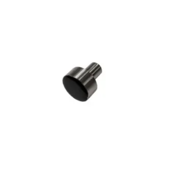 Variohm Group, XPK Series Magnet for Use with Euro XPK - XPK Plug Magnet-04 product image