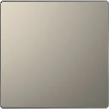 Schneider Electric Nickel 1 Gang Blanking Plate - MTN4075-6050 product image