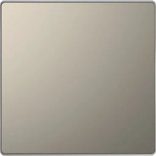 Schneider Electric Nickel 1 Gang Blanking Plate - MTN4075-6050 product image