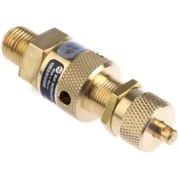 Norgren Quick Exhaust Valve, R 1/4 Male x 1.6 bar, Threaded - 1002/BM000 product image