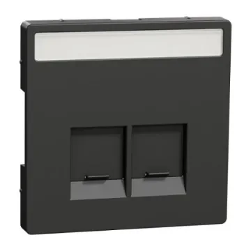 Schneider Electric Anthracite 2 Gang Cover Plate - MTN4574-6034 product image