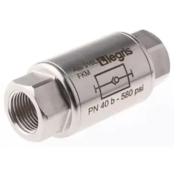 Legris Stainless Steel Single Non Return Valve, G 3/8in, 40 bar - 4890 17 17 product image