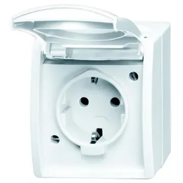 Busch Jaeger - ABB White 1 Gang Plug Socket, 2 Poles, 16A, Type F - German Schuko, Outdoor Use - 20 EW-54 product image
