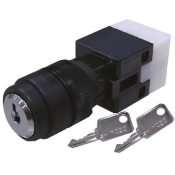 RS PRO IP65 Key Switch, DPDT 3-Way - 8200485 product image