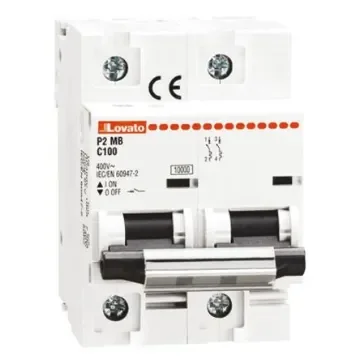 Lovato ModuLo P2MB MCB, 2P, 125A Curve C, 230V AC, 60V DC, 10 kA Breaking Capacity - P2MB2PC125 product image