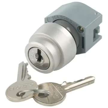 EAO IP65 Key Switch 2-Way Straight-Key - 704.121.0 product image