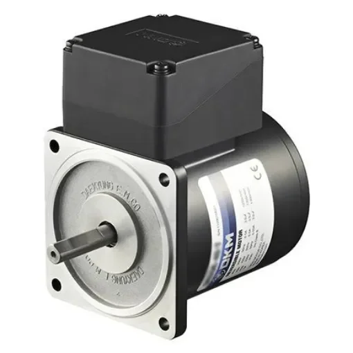 DKM Reversible Induction AC Motor, 25 W, 1 Phase, 4 Pole, 220 V, 240 V - 8IDGE-25G-T product image