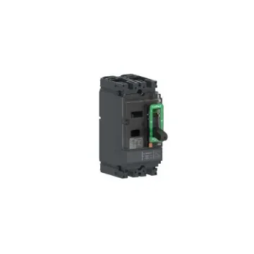 Schneider Electric, ComPacT NSX Circuit breaker 2P 80A, Breaking Capacity 85 KA, Fixed Mount - C10M2TM080 product image