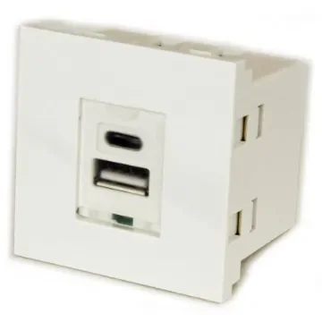 RS PRO Double Gang 2 Way Male USB Type A, USB Type C Faceplate - 1242518 product image