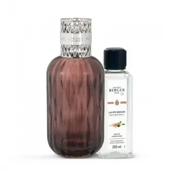 Lampe Berger - Quintessence Plum Home Fragrance - 250ml product image