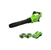 Greenworks - 40V Brushless Blower 210 km/h - GD40ABIIK2X product image