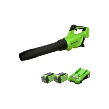 Greenworks - 40V Brushless Blower 210 km/h - GD40ABIIK2X product image
