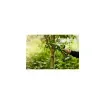 Greenworks - 10 cm Garden Saw 24V Cordless - G24MCS10 product image