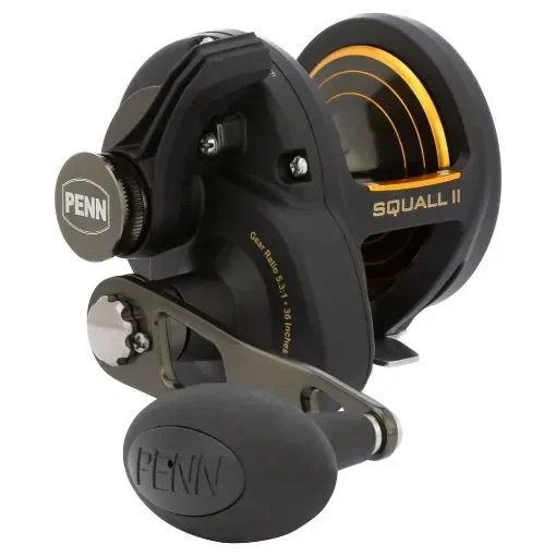 PENN - Squall II CV Box 25NLD - Lever Drag Reel product image