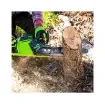 Greenworks - 40V Brushless Chainsaw 35cm - GD40CS15K4 product image