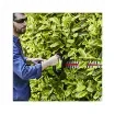 Greenworks - 61cm 40V Hedge Trimmer - G40HT61 product image