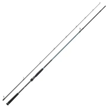 Daiwa - Caldia Seabass Spinning Rod - CASB902HFSDF/CAS802HFSDF product image