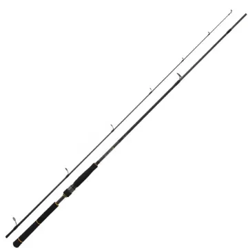 Daiwa - BLACK GOLD Seabass Spinning Rod 244cm 14-42g product image