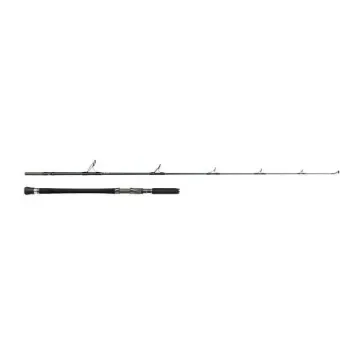 PENN - Carnage Popping Spinning Rod 210 30-120g product image