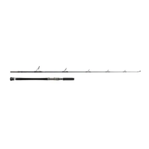 PENN - Carnage Popping Spinning Rod 210 30-120g product image
