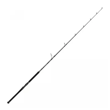 PENN - Marine Rod Brigade Offshore Casting 30–200g product image