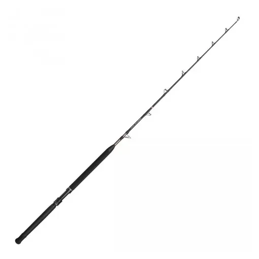 PENN - Marine Brigade Trolling Rod 20/40 lb - T200 product image