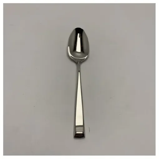 Riva - Richard Ginori Stainless Steel Marine Table Spoon - Corrosion Resistant product image