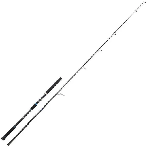 Sakura - Ryokan SW Tuna 250 Spinning Rod 30-150g product image