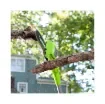 Greenworks - 24V Pole Pruner 20 cm - G24PS20 product image