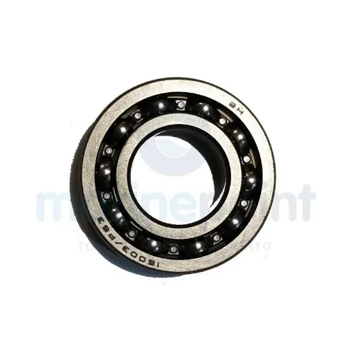 Parsun NTN16003EY Ball Bearing - PANTN16003EY product image
