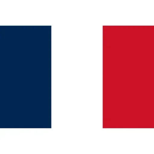 France Flag 30 X 45cm - D6389200 product image