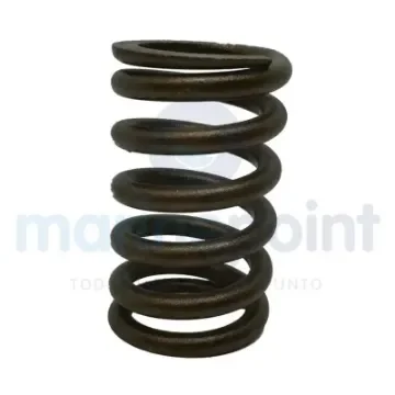 Valve Spring 262, 305 and 350 - REC11500 product image