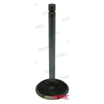 Exhaust Valve 5.7V 96 - REC13505 product image