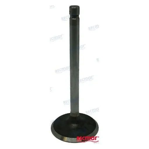 Exhaust Valve 5.7V 96 - REC13505 product image