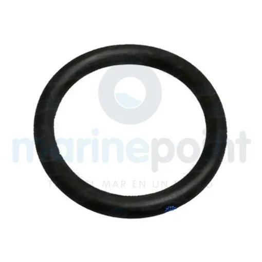 Aro Torico Cobra Cola - REC318717 product image