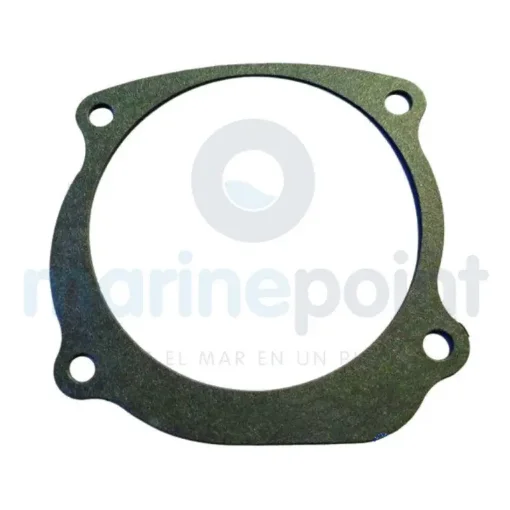 Water Pump Gasket - REC338484 product image