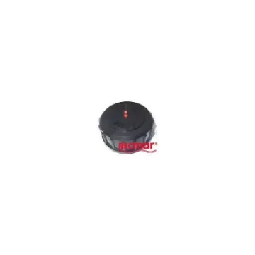 Valve Cap Plug 5.0/5.7 - REC4804 product image