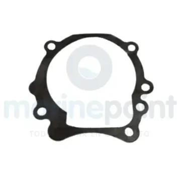 Omc Gasket - REC915719 product image