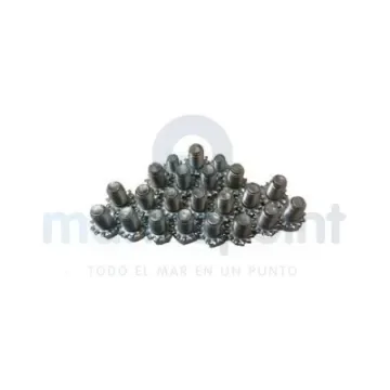 Carter Screws Kit 7.4L - RECPNRS-1101 product image