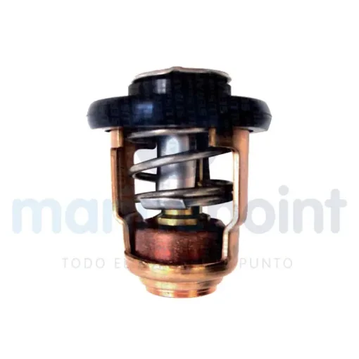 Thermostat 60ºC - REC855676002 product image