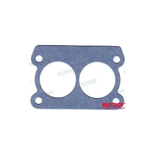 Carburettor Collector Gasket - REC27-8079821 product image