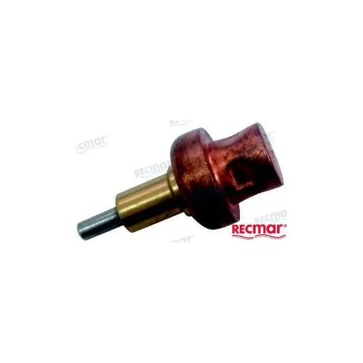 Marine Engine Thermostat Replacement - REC878904 product image