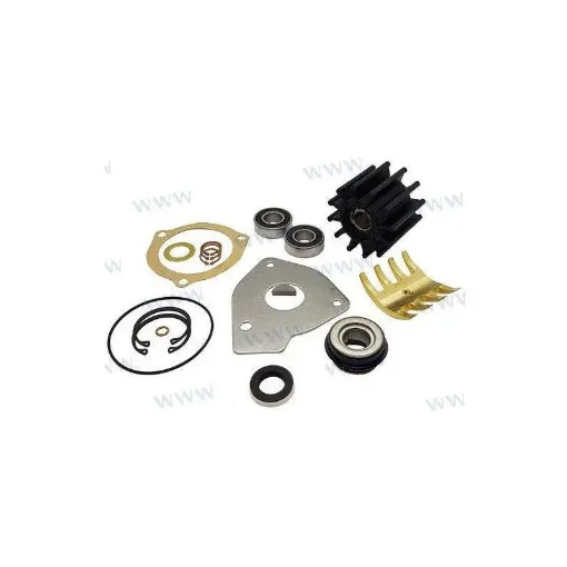 Sherwood Major Repair Kit for Pumps - SHE23981 product image