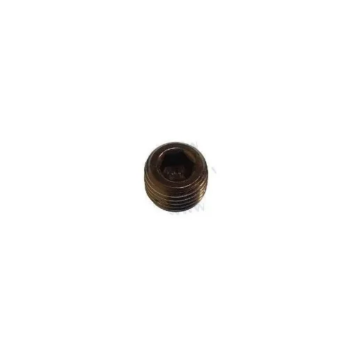 Parsun 1/4" Oil Pan Plug - F15-07010005 product image